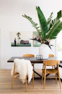 Urban Jungle