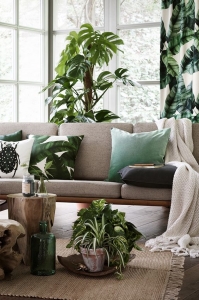 Urban Jungle