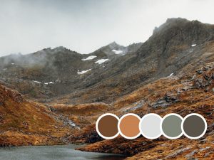 creare moodboard dal colore