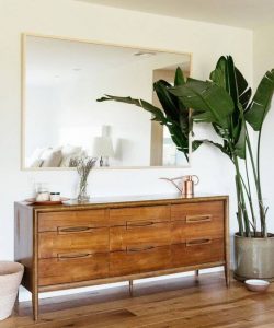 arredamento classico e piante