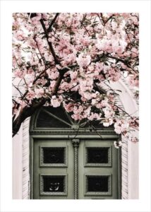 pink-flower-green-door-poster-gallerix